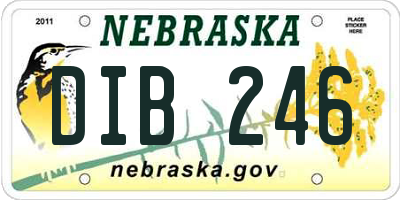NE license plate DIB246
