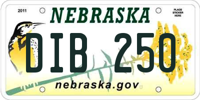 NE license plate DIB250