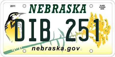 NE license plate DIB251