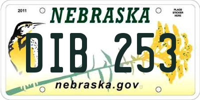 NE license plate DIB253