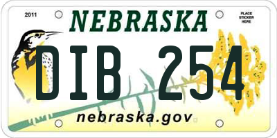 NE license plate DIB254