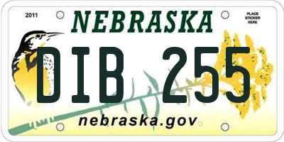 NE license plate DIB255