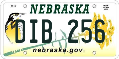 NE license plate DIB256