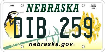 NE license plate DIB259
