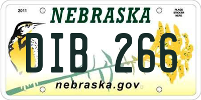 NE license plate DIB266