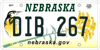 NE license plate DIB267
