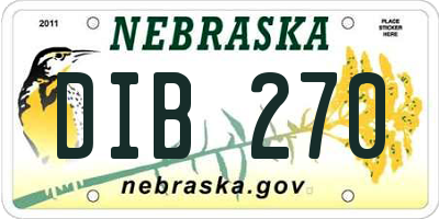 NE license plate DIB270