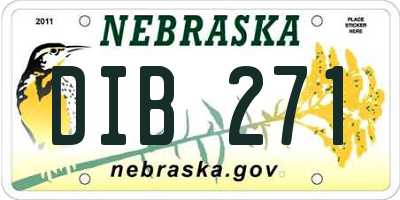 NE license plate DIB271