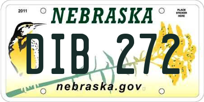 NE license plate DIB272