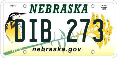 NE license plate DIB273