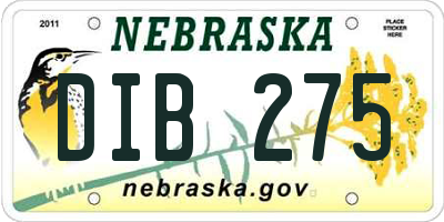 NE license plate DIB275