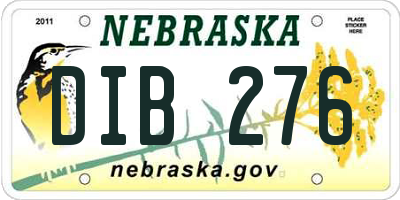 NE license plate DIB276