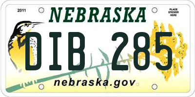 NE license plate DIB285