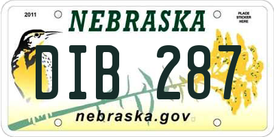 NE license plate DIB287