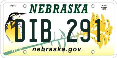 NE license plate DIB291