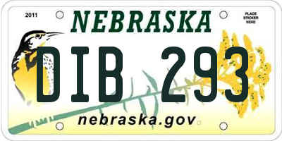 NE license plate DIB293