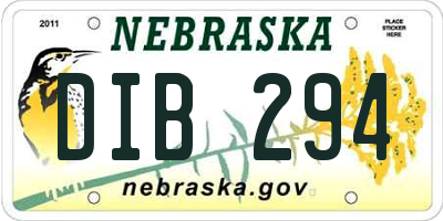 NE license plate DIB294