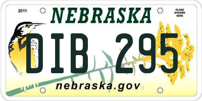 NE license plate DIB295