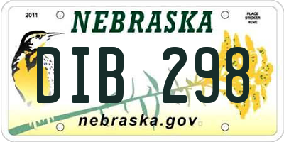 NE license plate DIB298