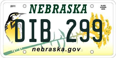 NE license plate DIB299