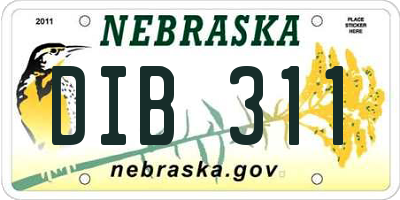 NE license plate DIB311