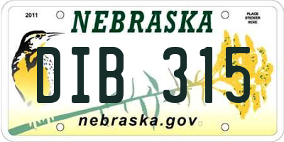 NE license plate DIB315