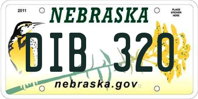 NE license plate DIB320