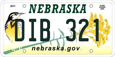 NE license plate DIB321