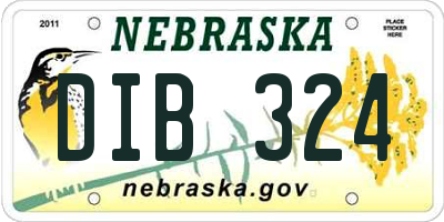 NE license plate DIB324