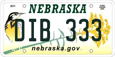 NE license plate DIB333