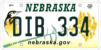 NE license plate DIB334