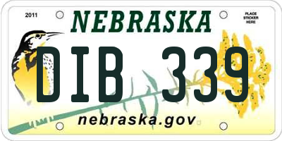 NE license plate DIB339