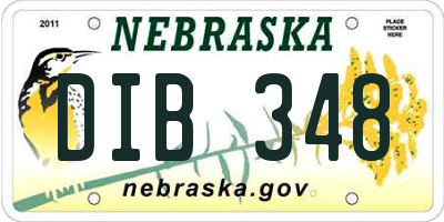 NE license plate DIB348