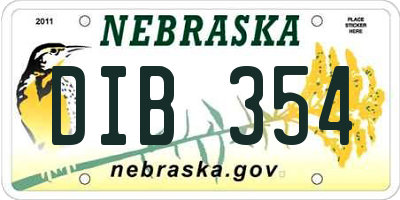 NE license plate DIB354