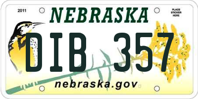 NE license plate DIB357