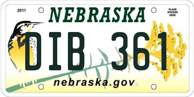 NE license plate DIB361