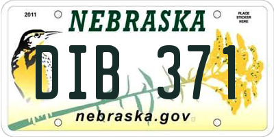 NE license plate DIB371