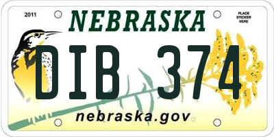 NE license plate DIB374