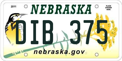 NE license plate DIB375
