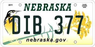 NE license plate DIB377