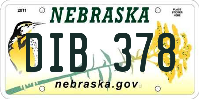 NE license plate DIB378