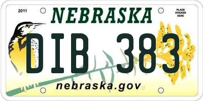 NE license plate DIB383