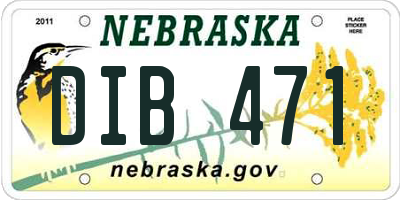 NE license plate DIB471