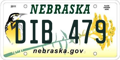 NE license plate DIB479