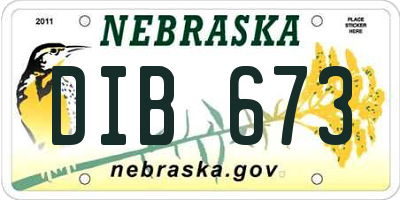 NE license plate DIB673