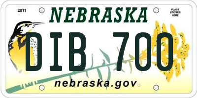 NE license plate DIB700