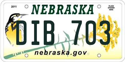 NE license plate DIB703