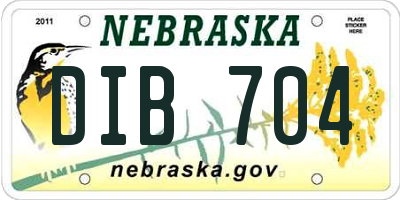 NE license plate DIB704