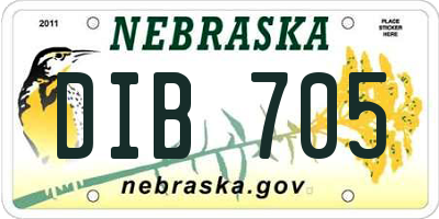 NE license plate DIB705