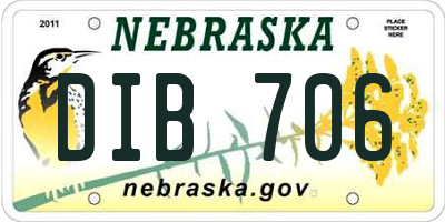 NE license plate DIB706